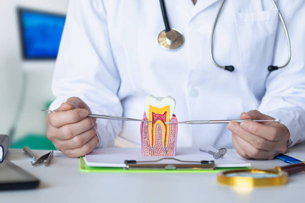 Best Emergency Denture Repair in Hebron, IL